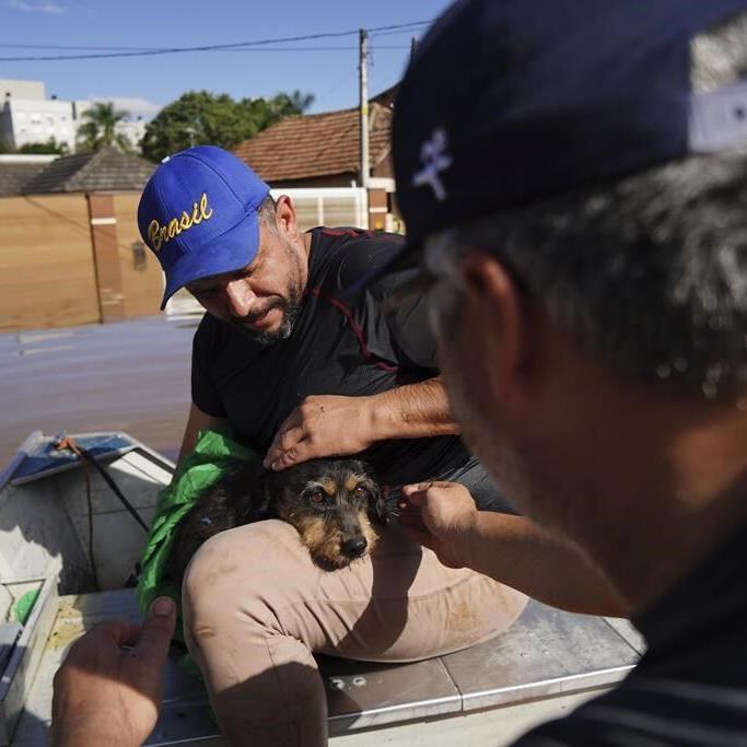 Inside a makeshift shelter saving hundreds of dogs from floods in southern Brazil